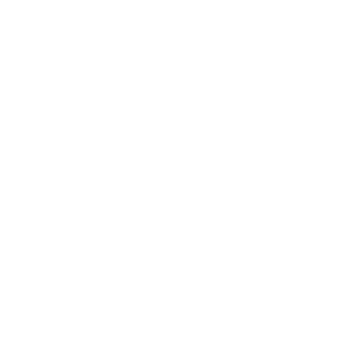 Ilhas - Brasil - Passeios Punta Cana