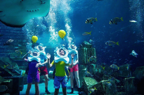 Seaquarium