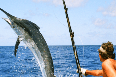 Pesca em Punta Cana