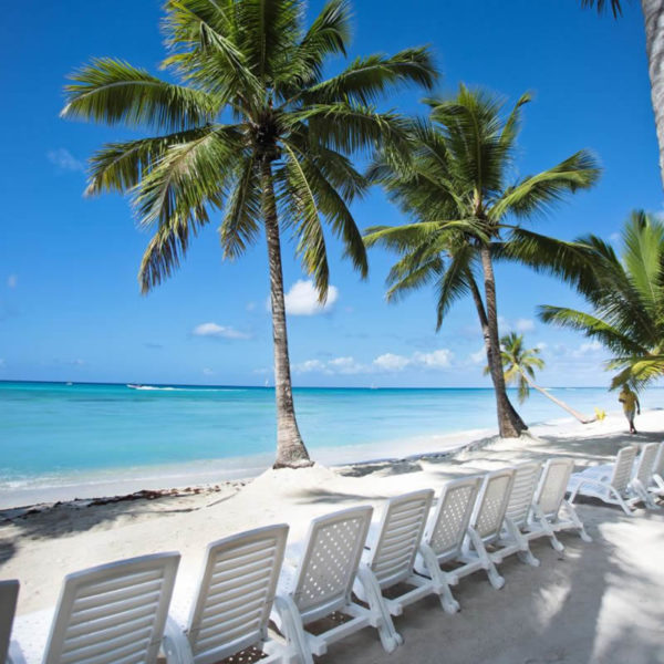 ILHA SAONA ESPECIAL BRASIL PASSSEIOS VIP – $135 ADULTO / $89 CRIANÇA - Image 3