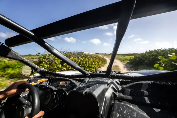 BUGGY COM CENOTE - $65 / $55 - Image 7