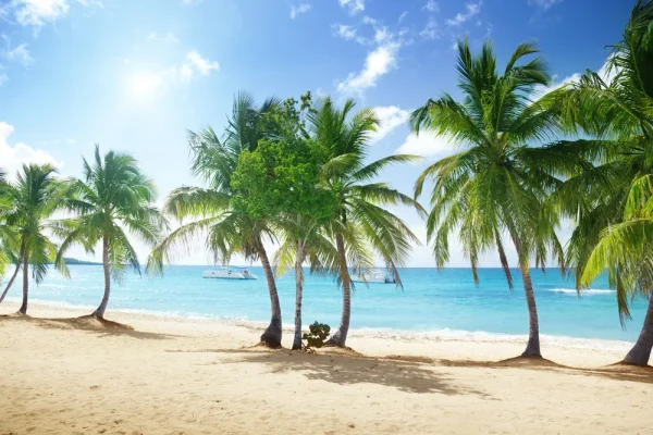 PARQUE NACIONAL LOS HAITISES - $140 / $ 70 - Image 2